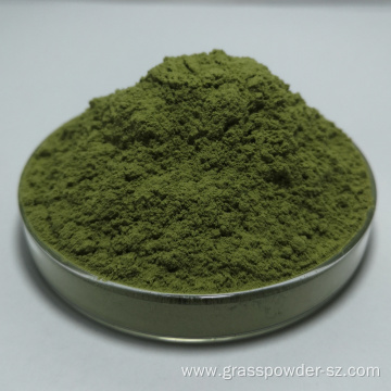 100% pure Organic Young Alfalfa Grass Powder